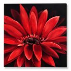 Sienas dekors sarkans zieds 40x40 cm