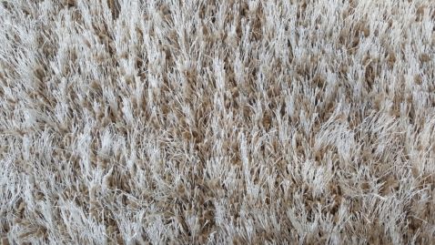 Paklājs Pleasure EWE 140x200. Paklāja plūksnas biezums : 5 cm