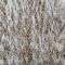 Paklājs Pleasure EWE 140x200