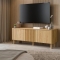 TV GALDS Arango-1